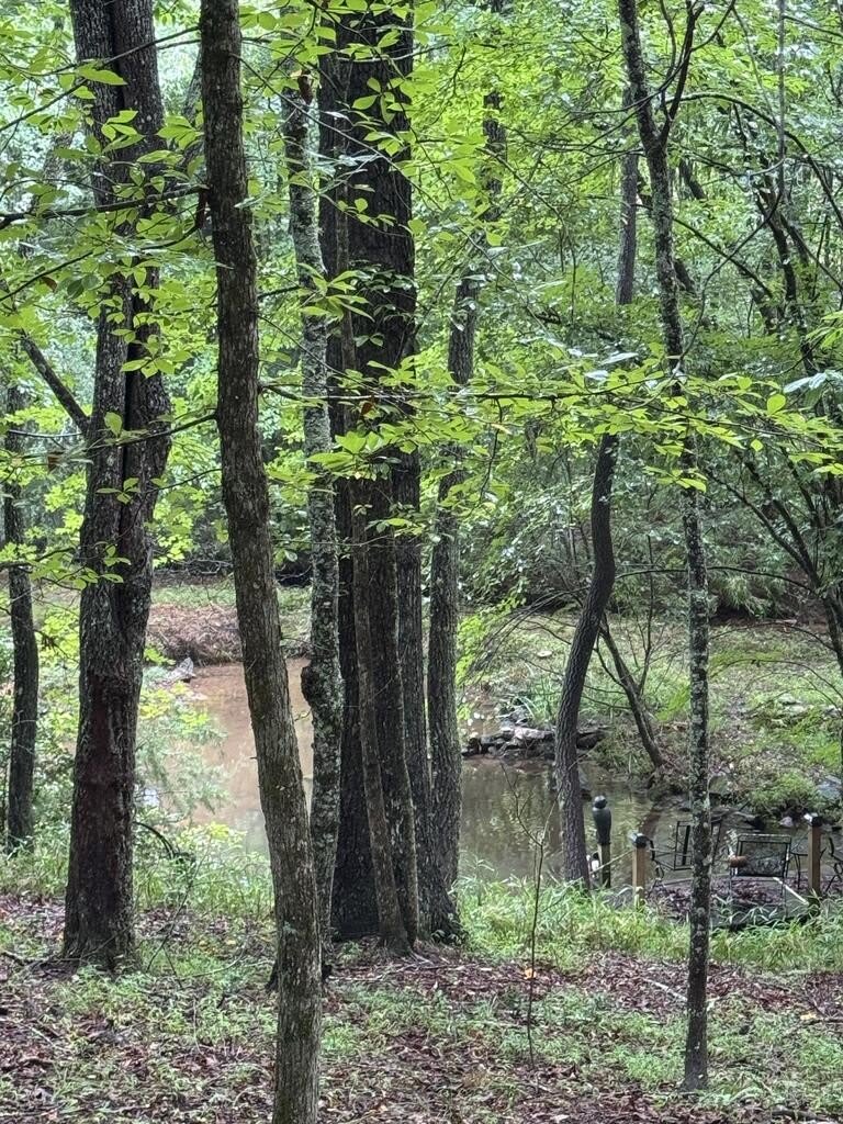493 Harper Valley Road – photo 4
