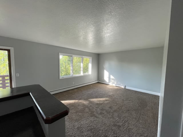 1400 E Mulchatna Dr 1 – photo 4