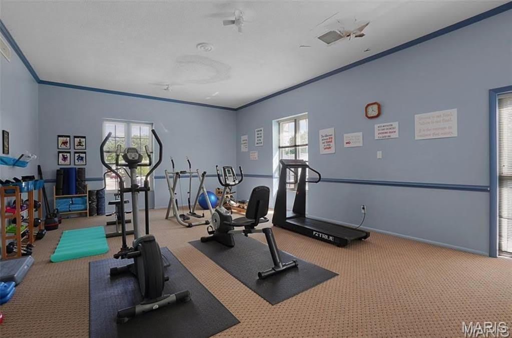 846 Dumont Place – photo 5