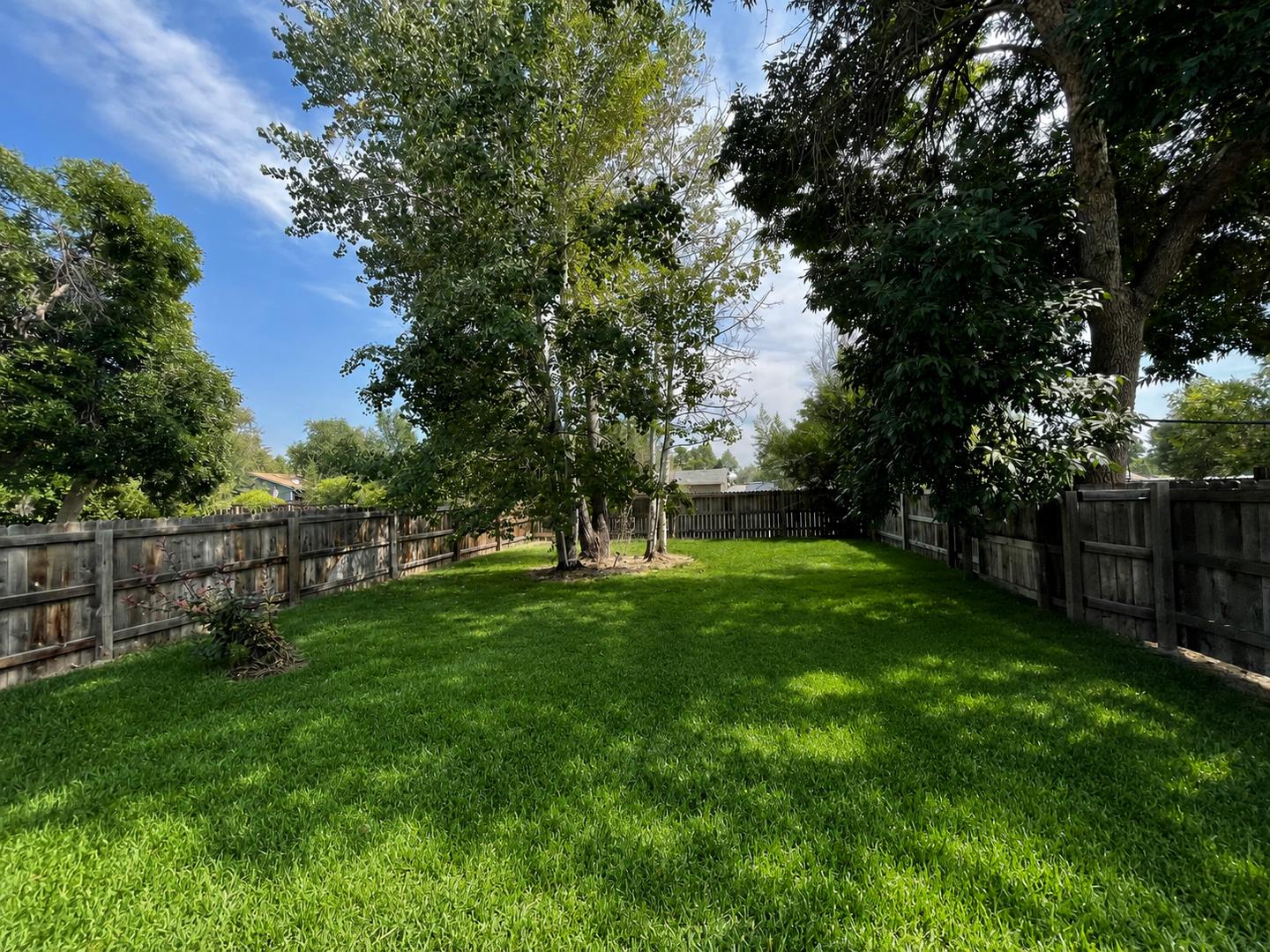 Great Home in Loveland – photo 3