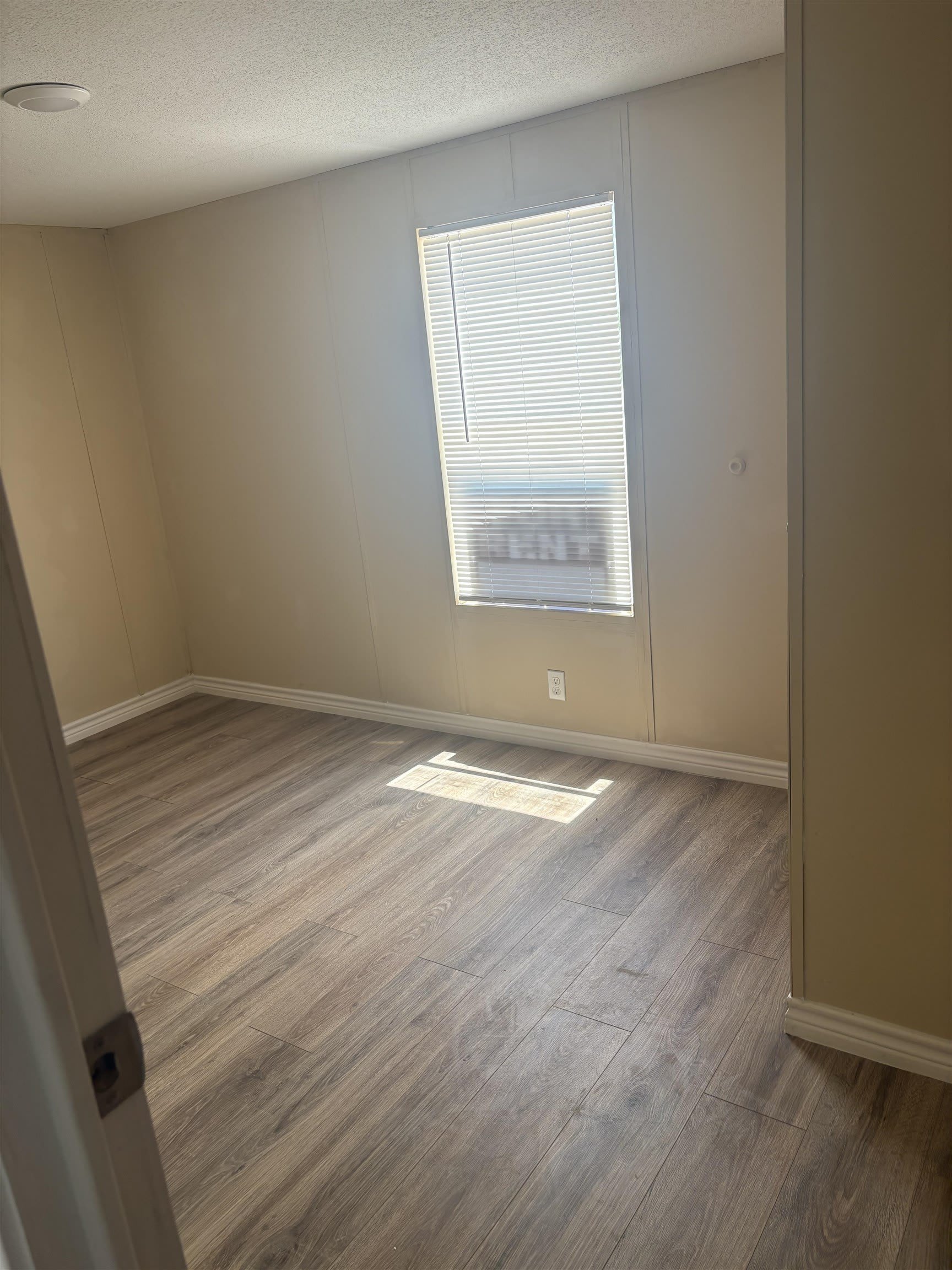 339 Lewis – photo 3