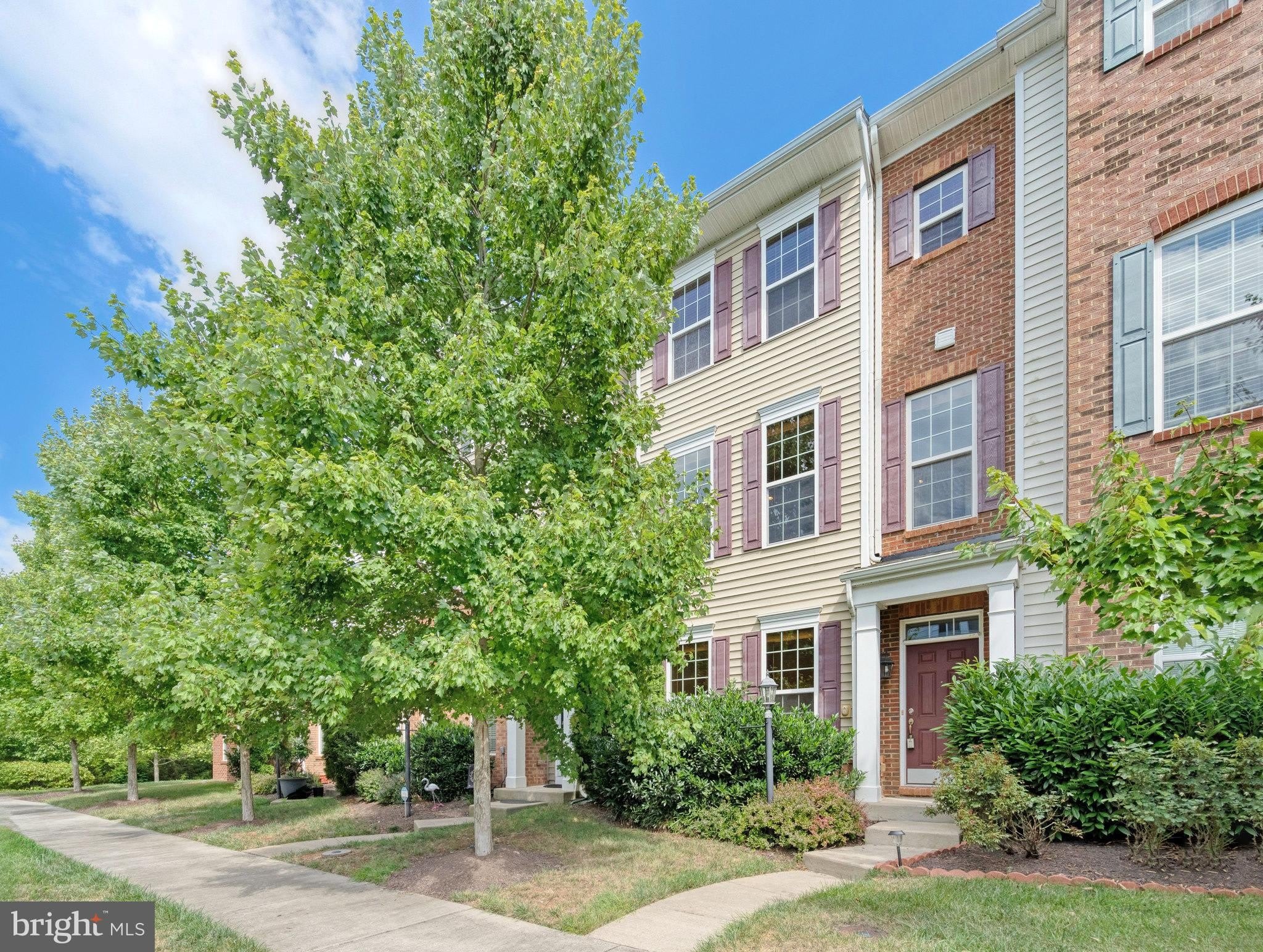 22653 Vienna Green Terrace – photo 2
