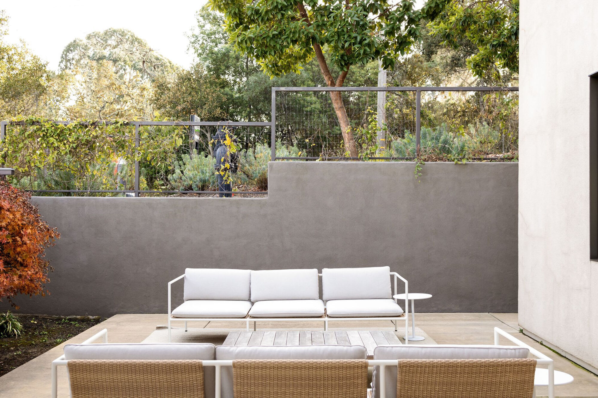 Crystal Springs Terrace – photo 4