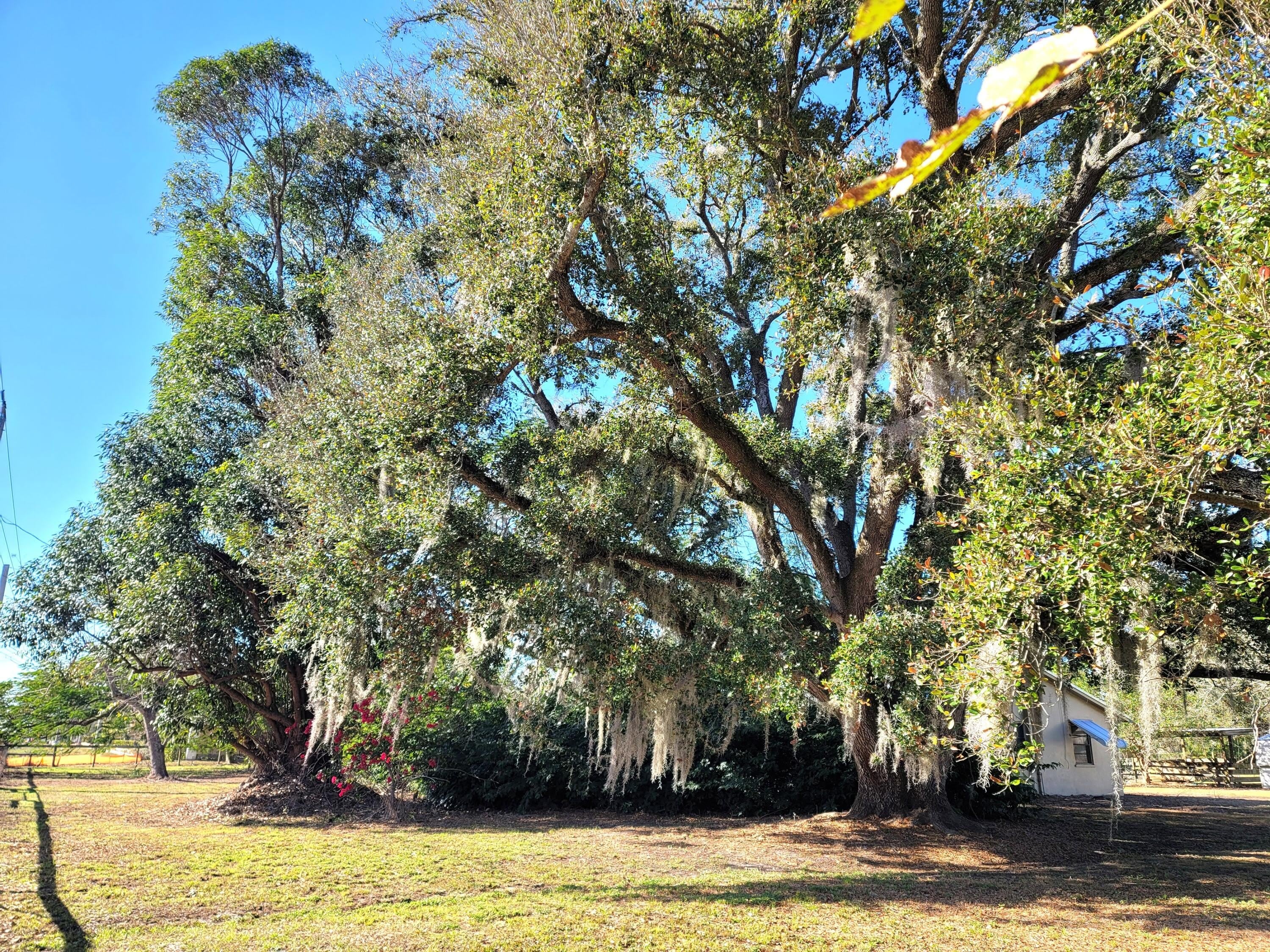 4362 W Midway Road – photo 1
