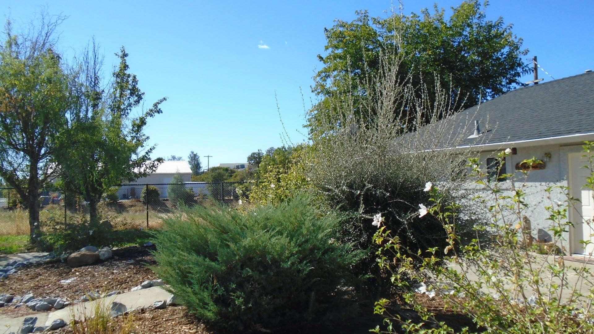 4 Bedroom In Ravenwood Subdivision – photo 4