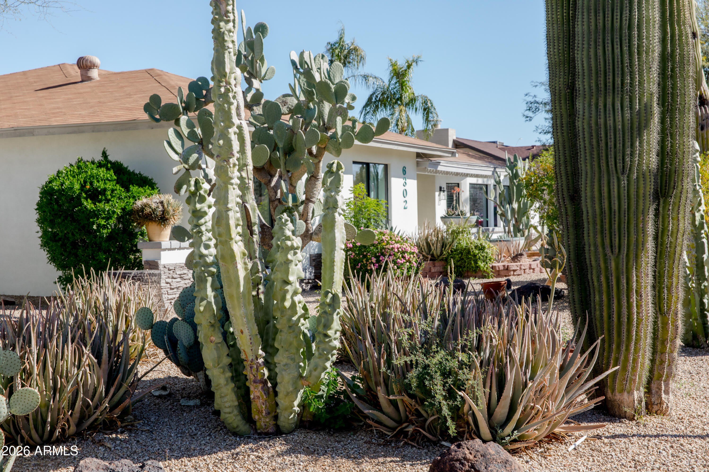 6302 E Winchcomb Drive – photo 4