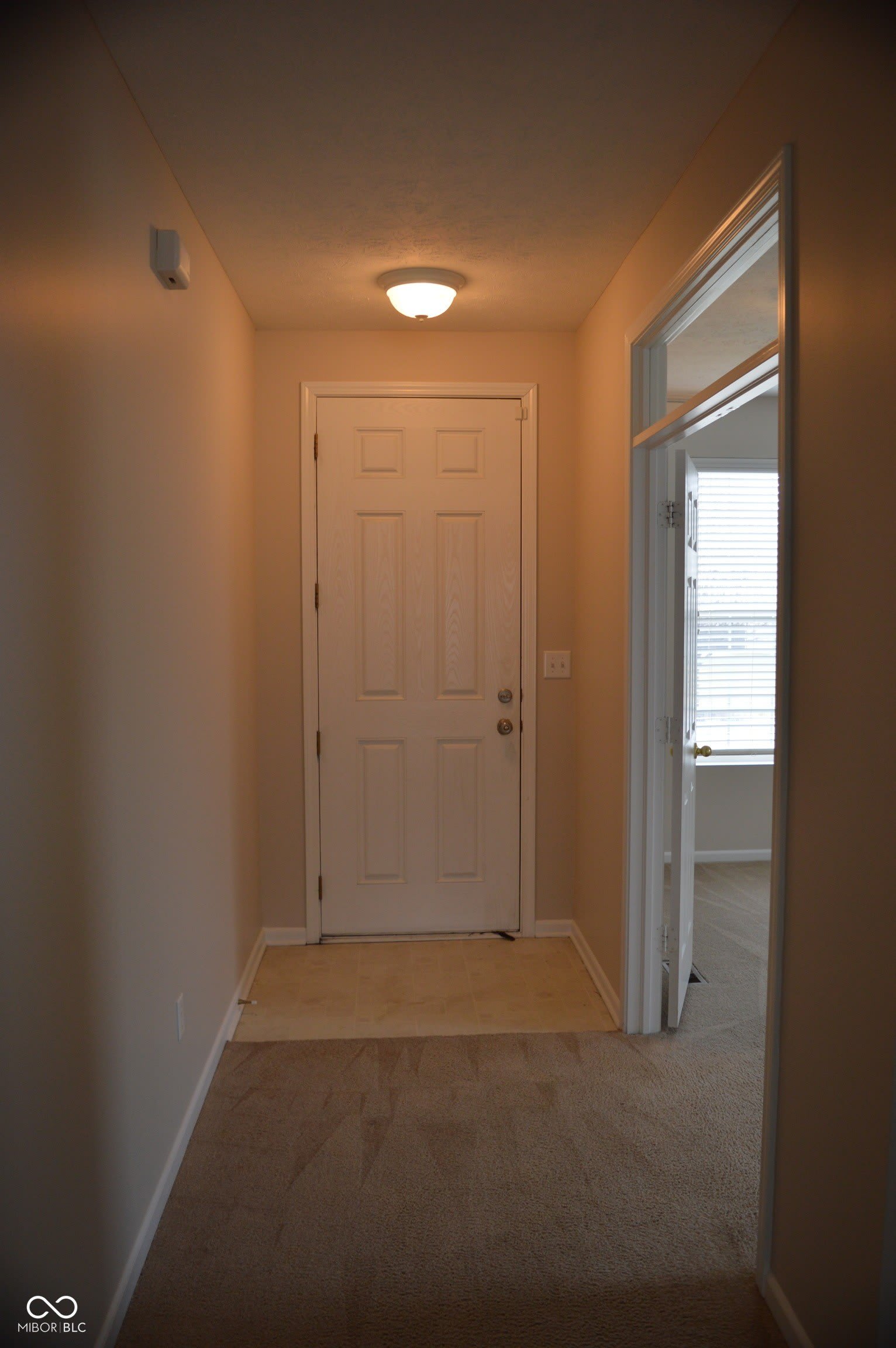 11330 Candice Drive – photo 5