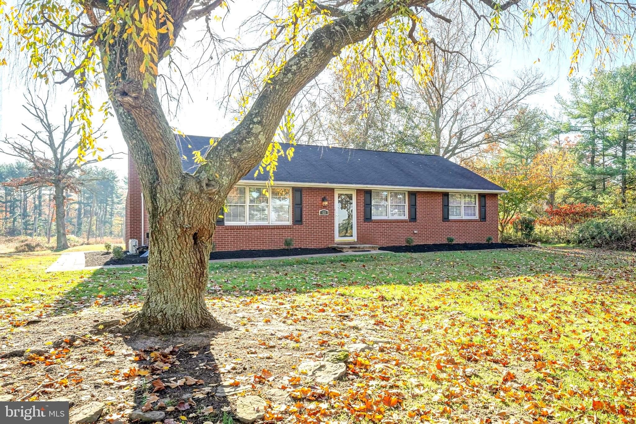 123 THIES Road – photo 2