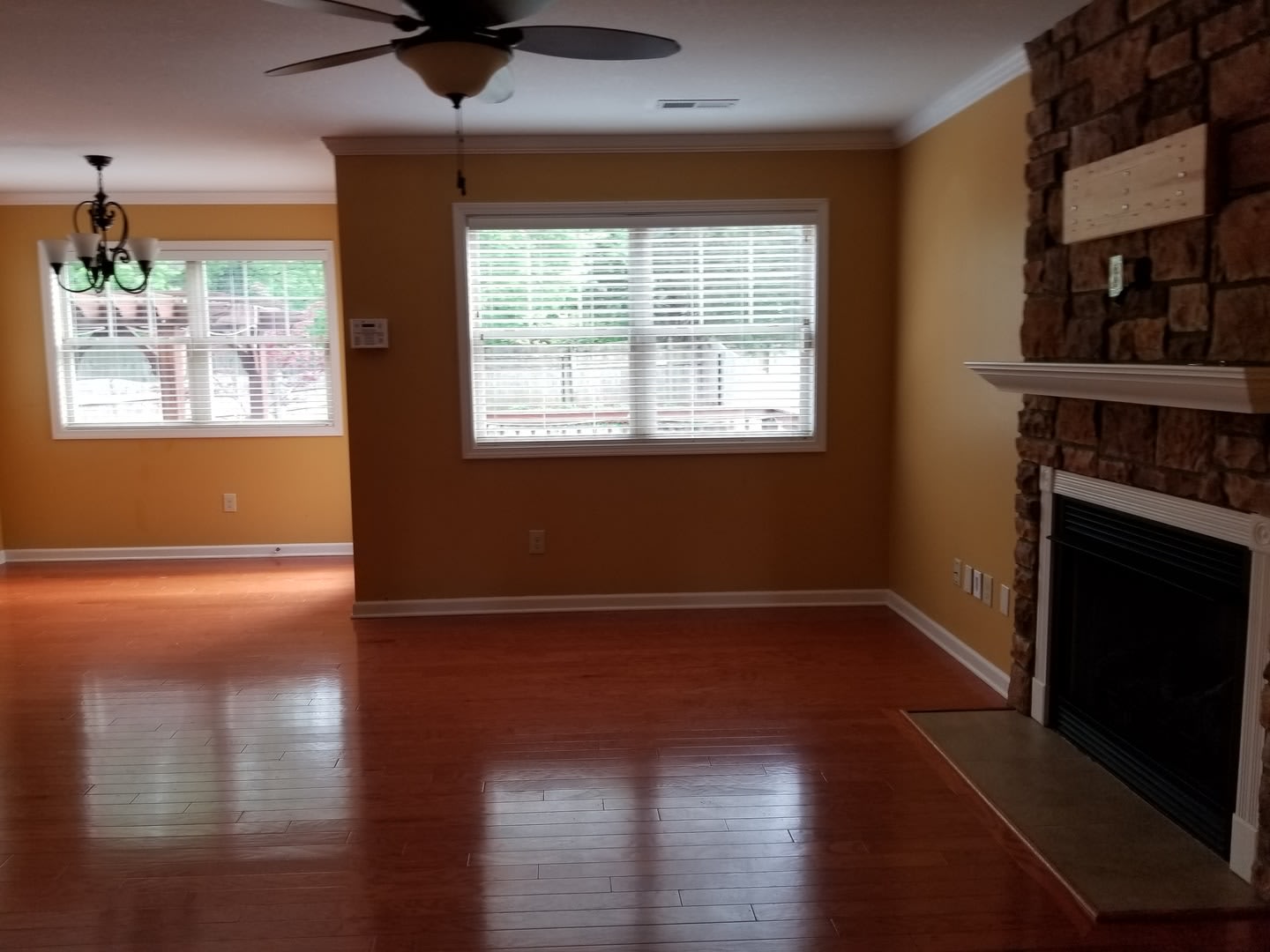 Knoxville 37923 – photo 3