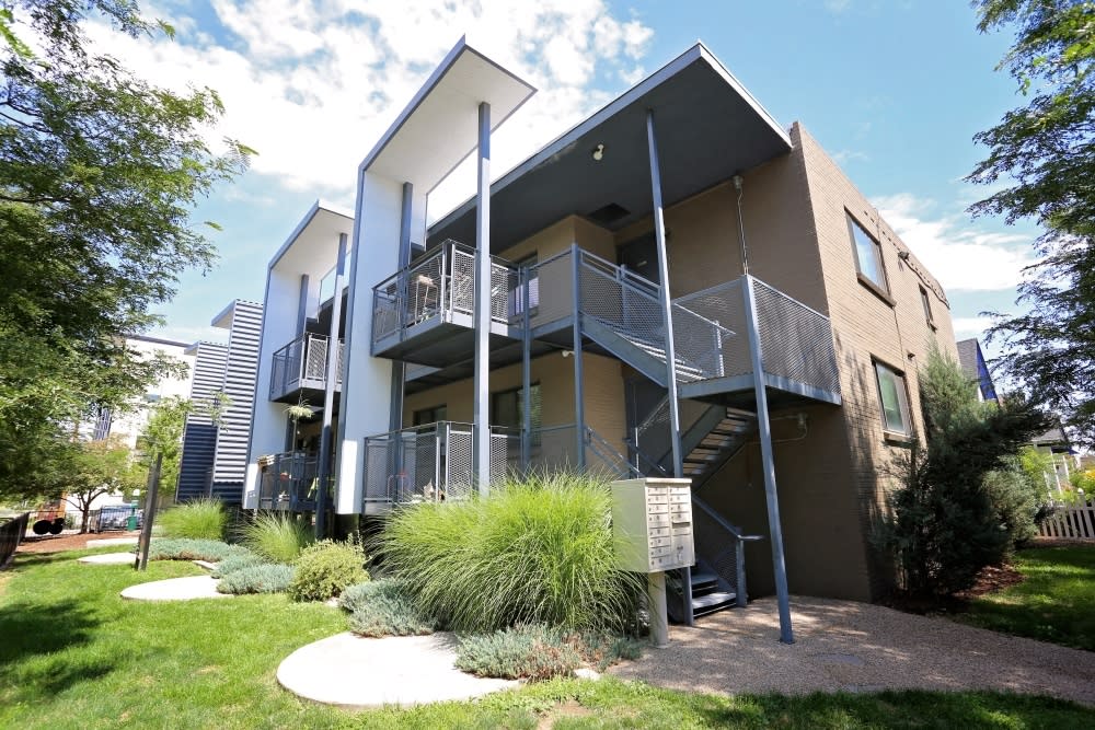 Mulberry Flats – photo 1