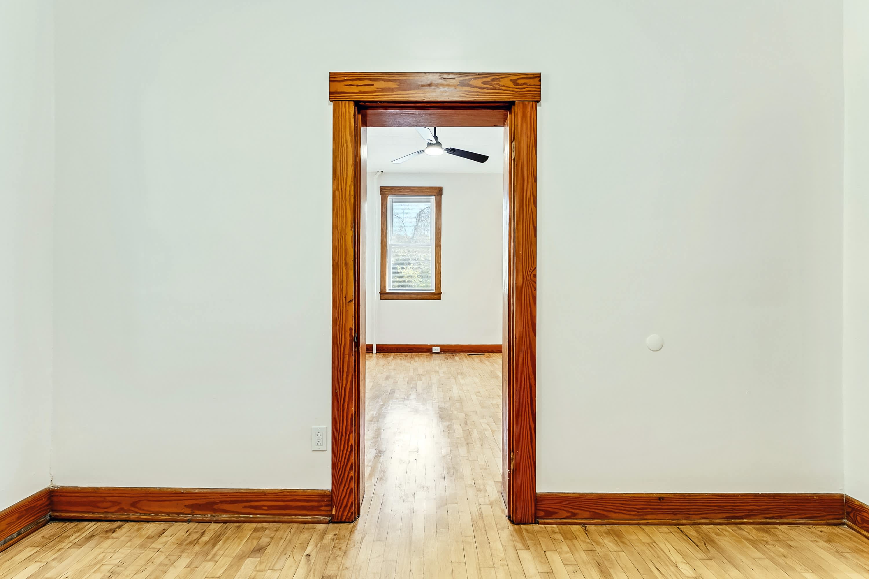 500 Dorsey Ave-Apt 1 – photo 5