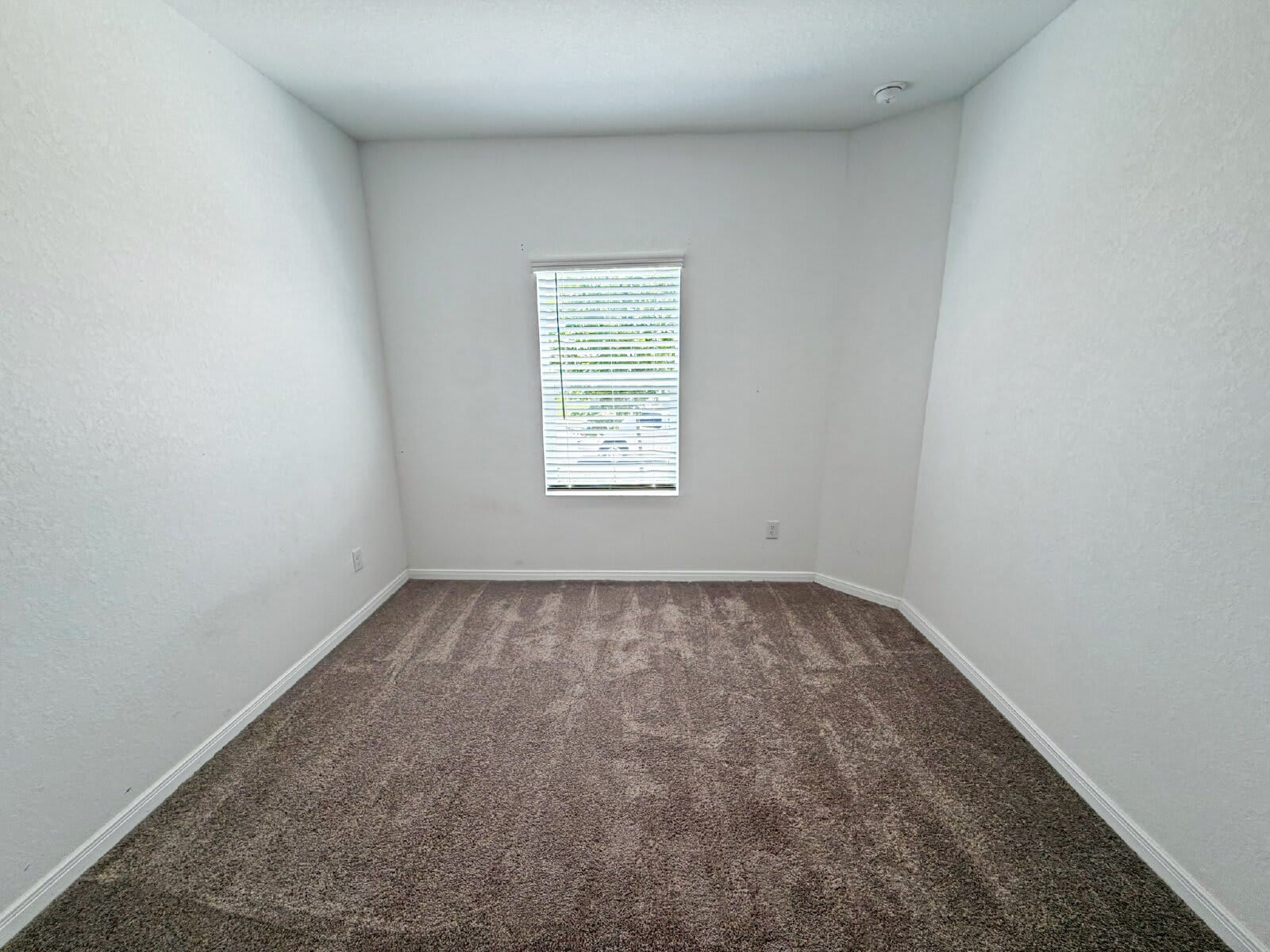 12931 Rosemary Bnd – photo 4