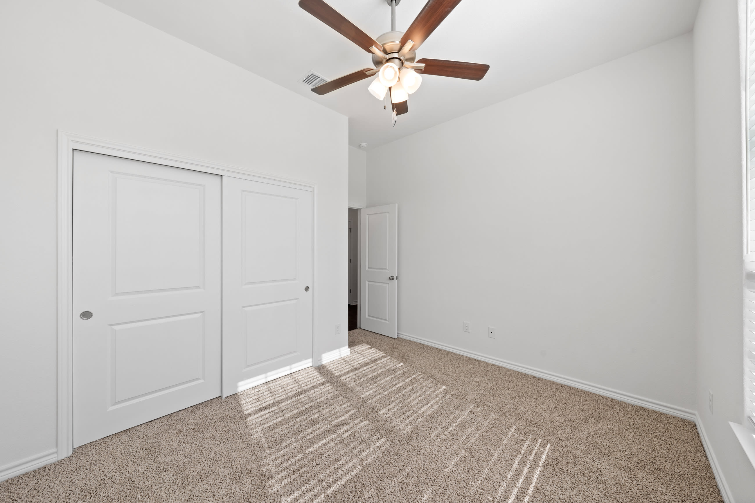 7308 Caladium Drive – photo 4