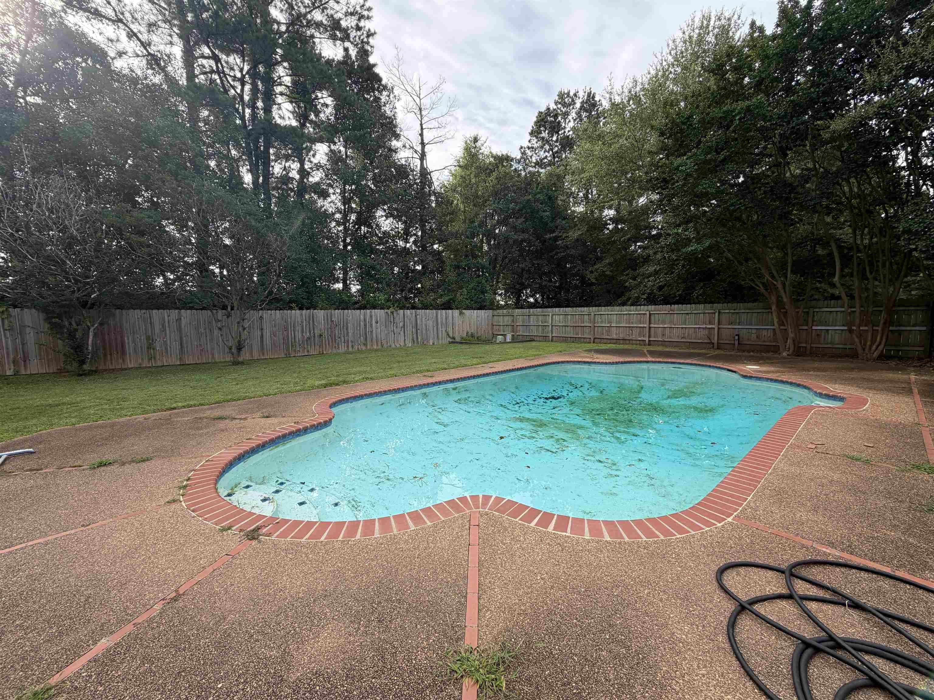 956 ROLLING OAKS Ln – photo 3