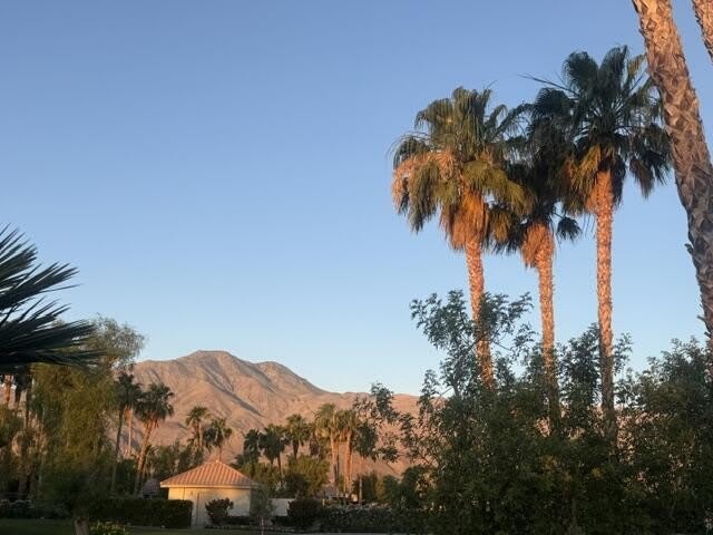 80706 Hermitage – photo 1
