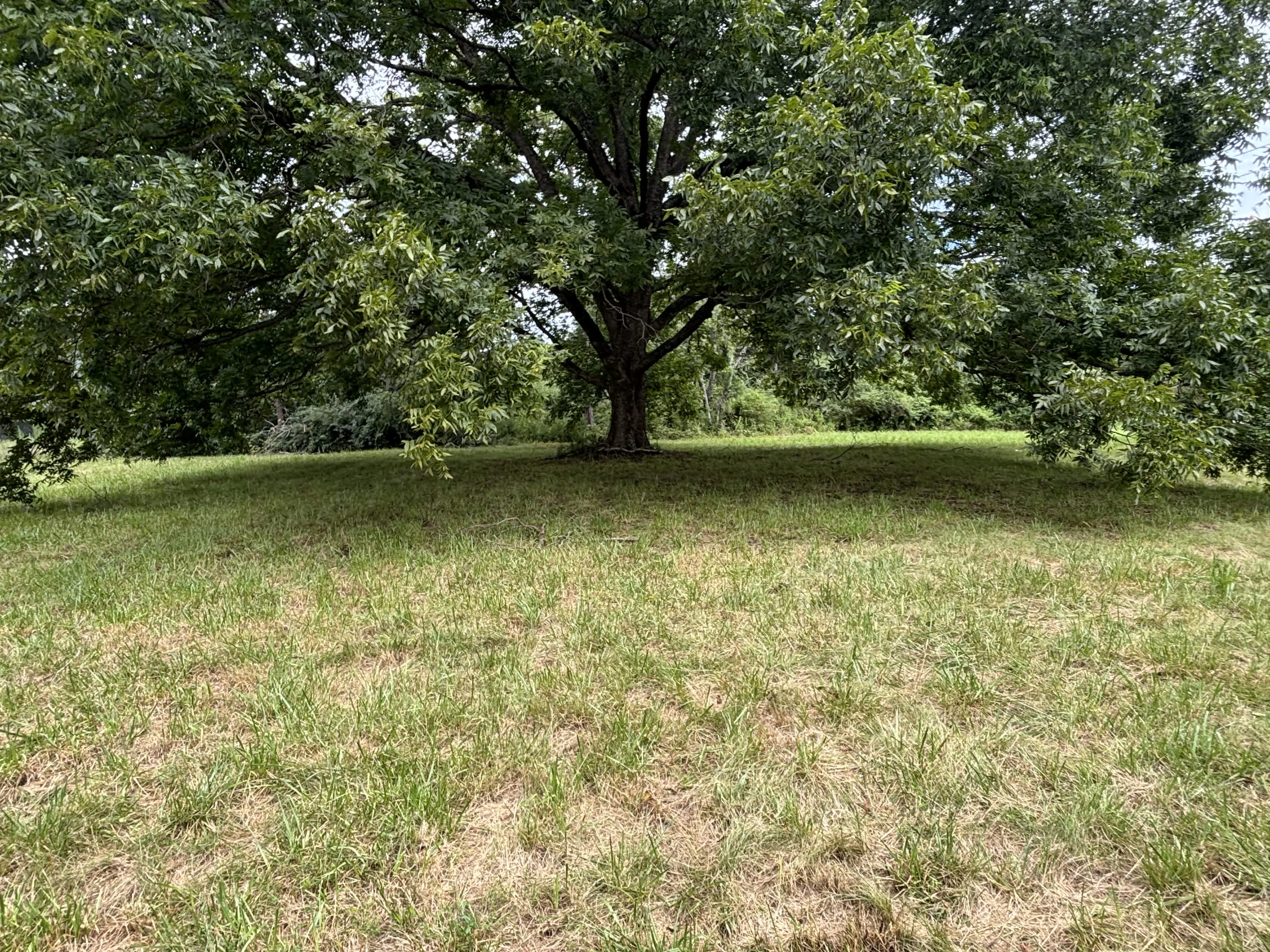 2102 Providence Road South – photo 4