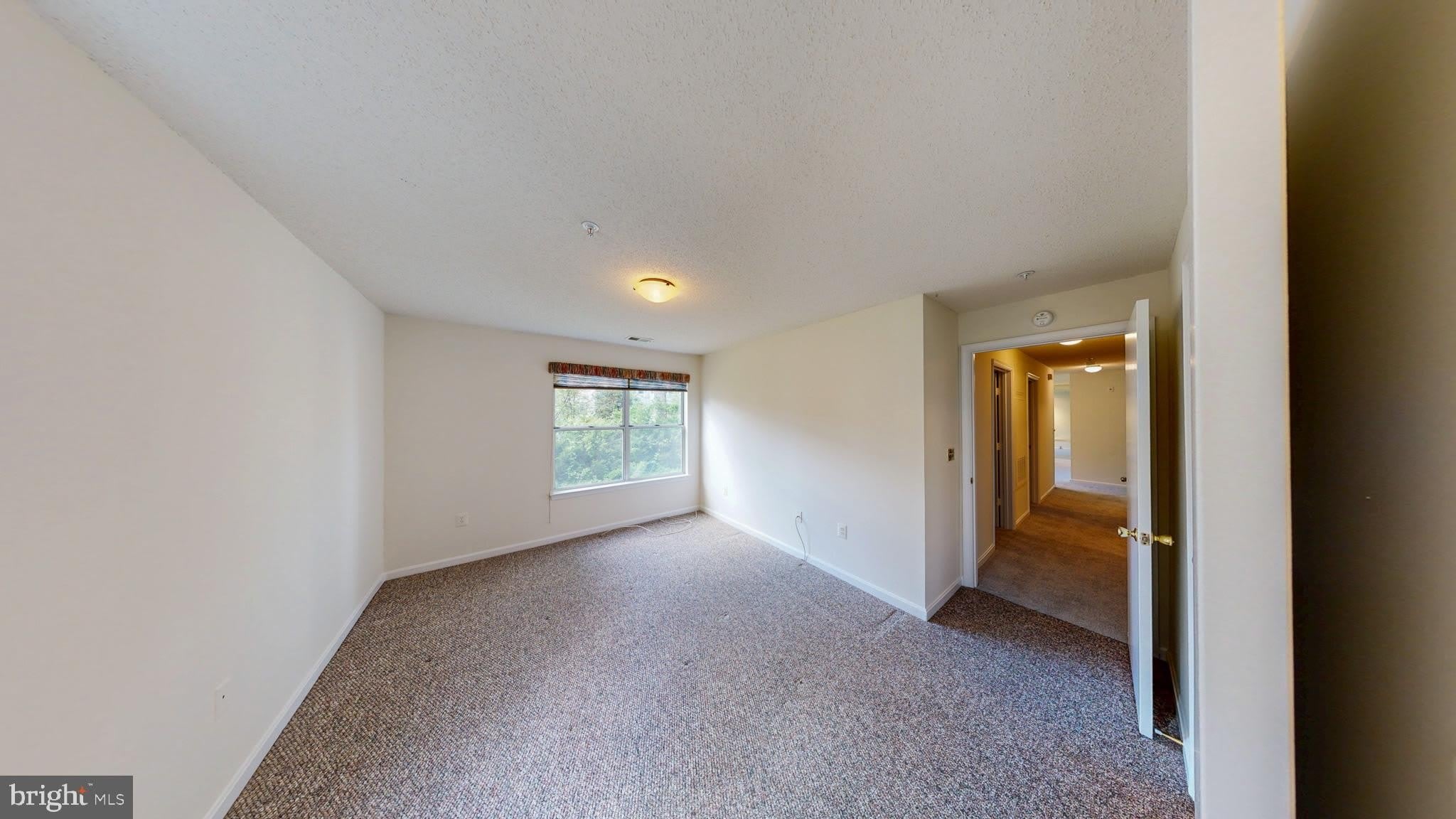 2806 CLEAR SHOT Drive – photo 3