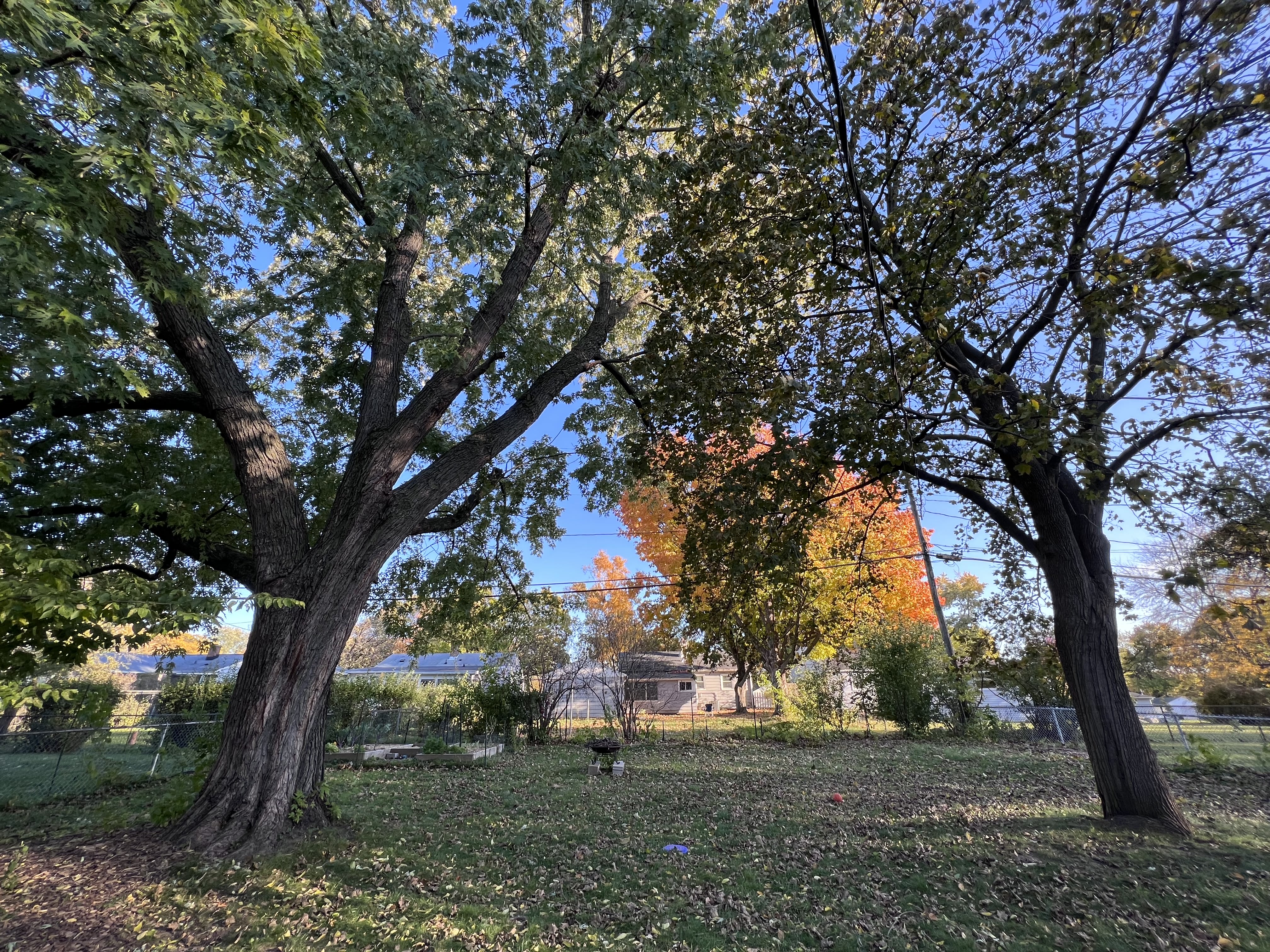3505 Prairie Avenue – photo 3