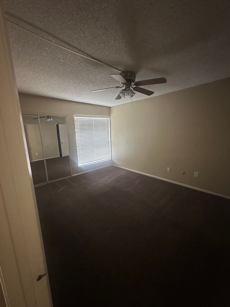 3 bed + 1.5 bath – photo 5