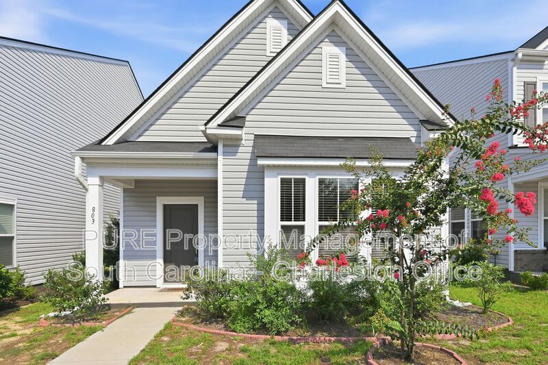 803 Lachicotte Creek Dr – photo 1