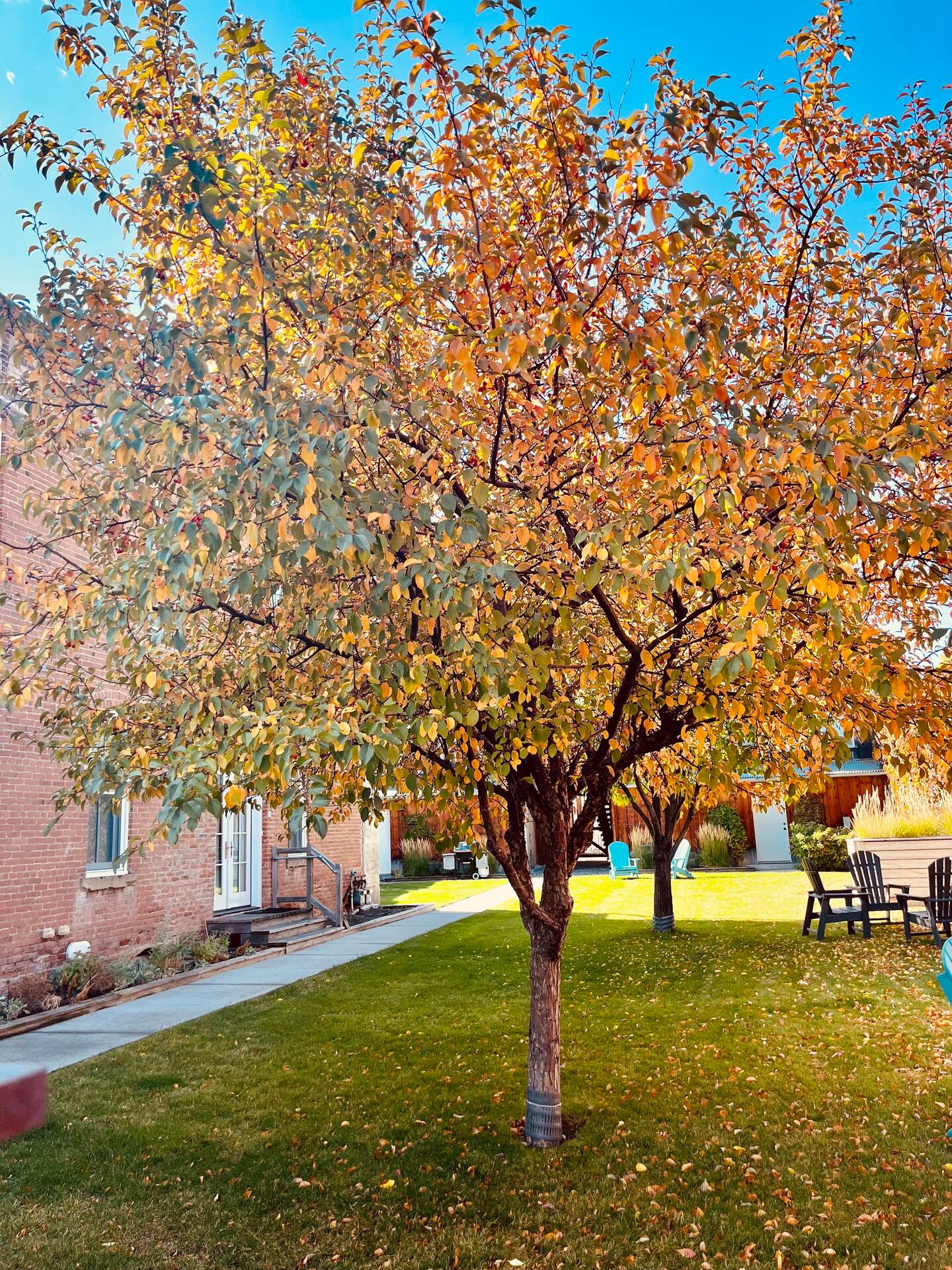 214 S 2Nd Streetunit A – photo 5