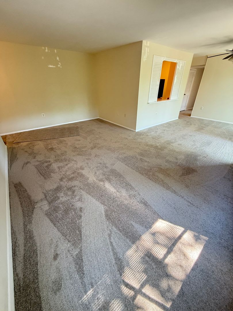 Amazing 2 Bedroom 1 Bathroom All Utilities Included – photo 4