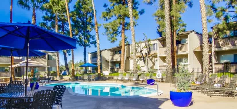 Shasta Lane – photo 4