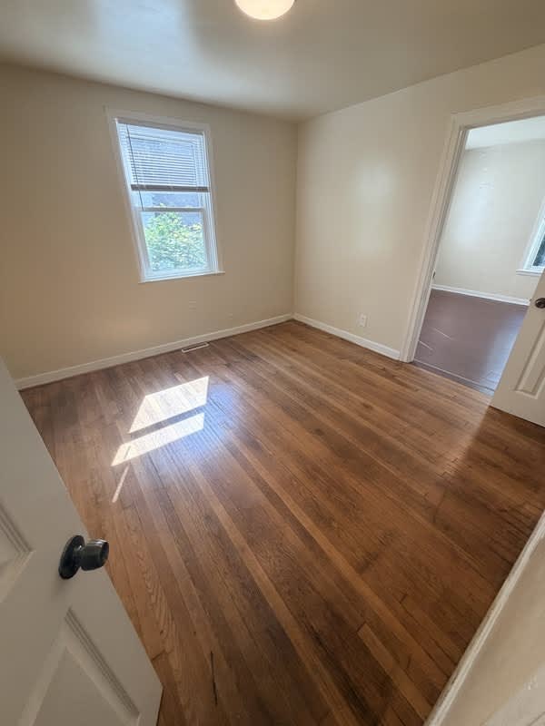 1915 Chelsea st – photo 3