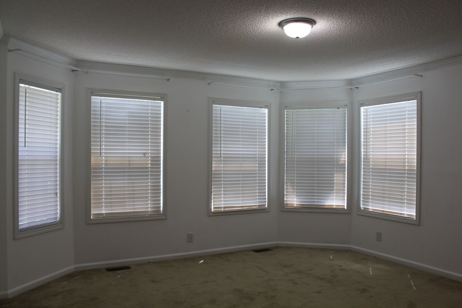 110 Fisher Drive – photo 5