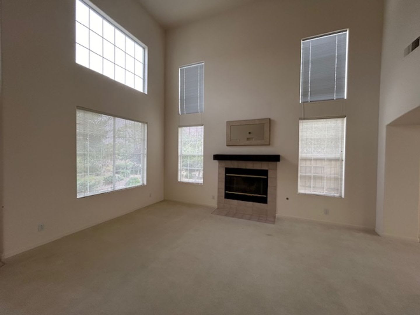 HUGE LAS PALMAS 2 HOUSE! – photo 4