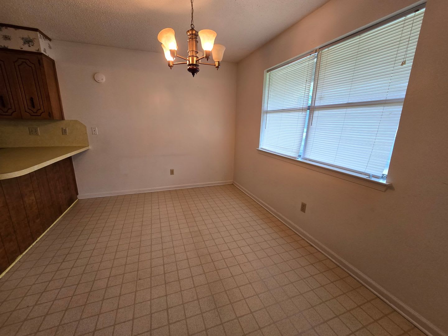 14 Devon Lane – photo 5