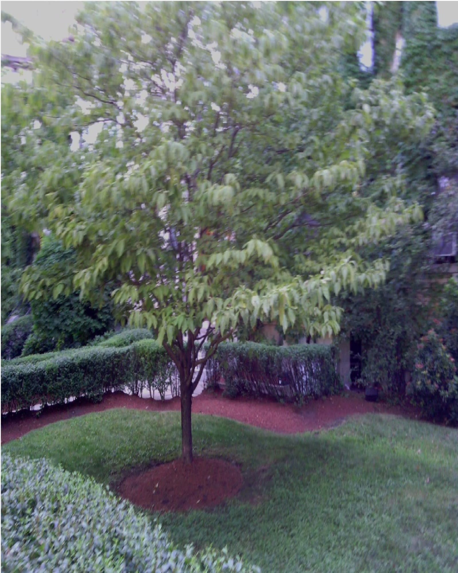 1872 Commonwealth Avenue – photo 2