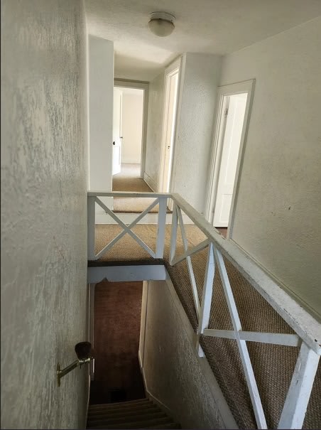 11 William Street – photo 2