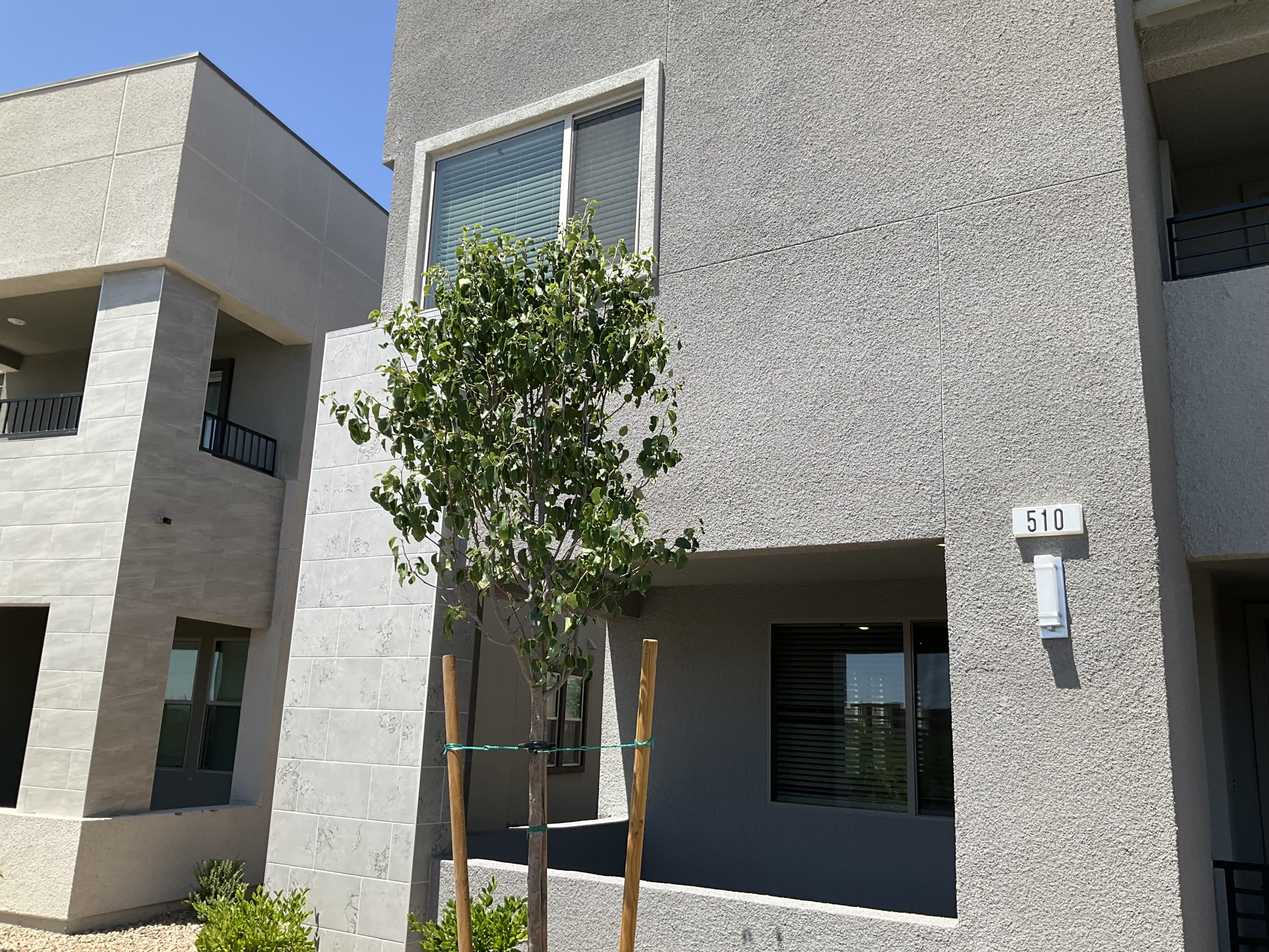 510 Mahogany Ridge Street – photo 2