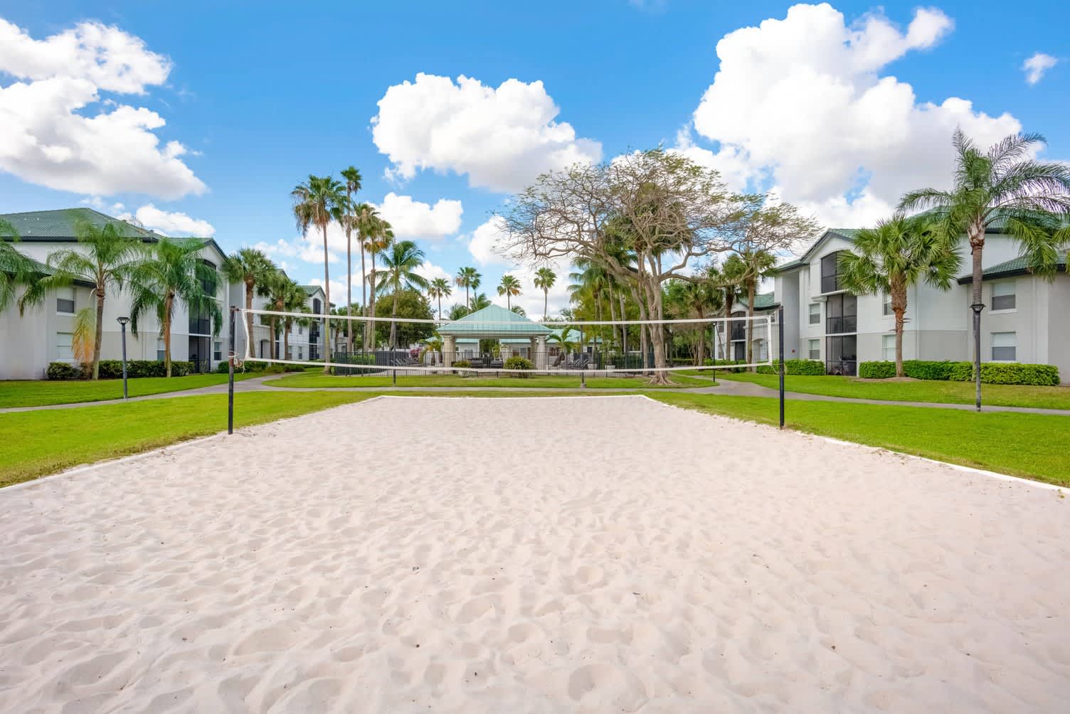 Palm Trace Landings – photo 5