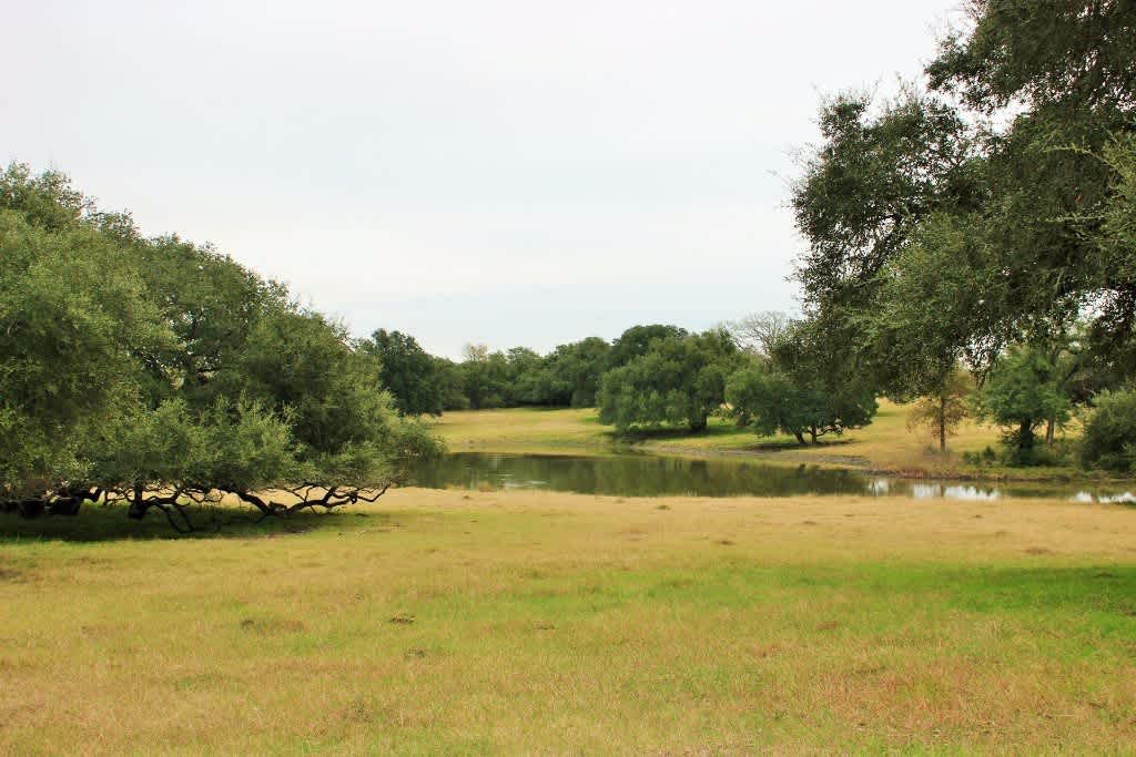 11850 McCrocklin Road – photo 3