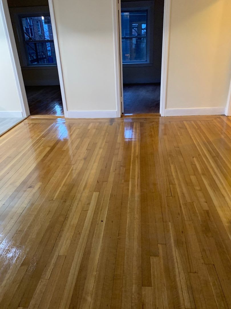 No Fee! Gorgeous Comm Ave Apt by T! Modern Appliances. Cat & Small Dog OK – photo 3