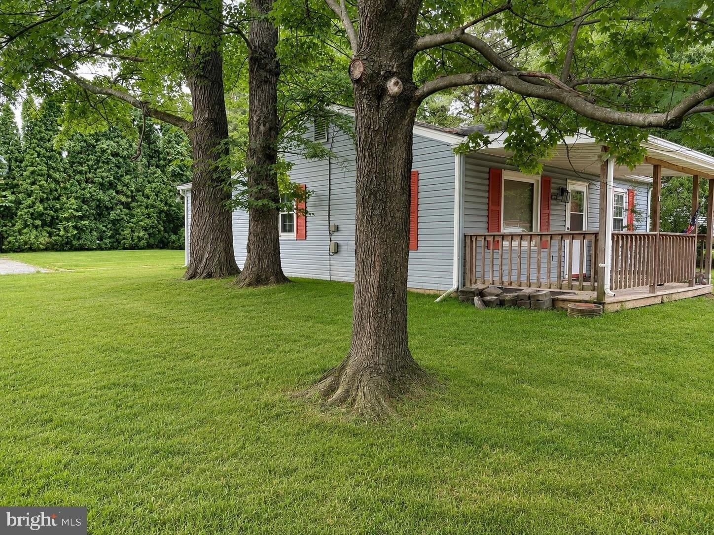 1705 ILLINGSWORTH Street – photo 2
