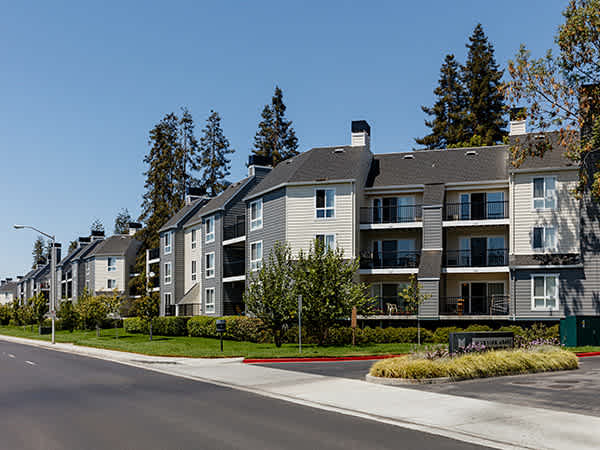 Mansion Grove Apartments – photo 4