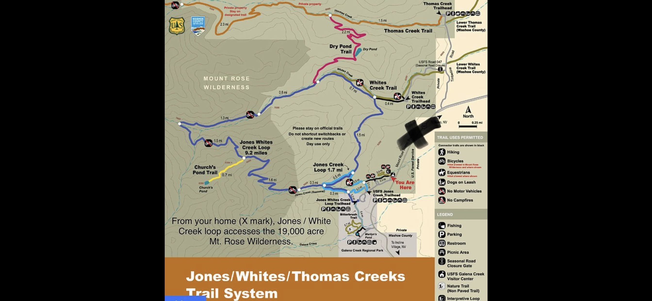 16925 Mt Rose Hwy – photo 3
