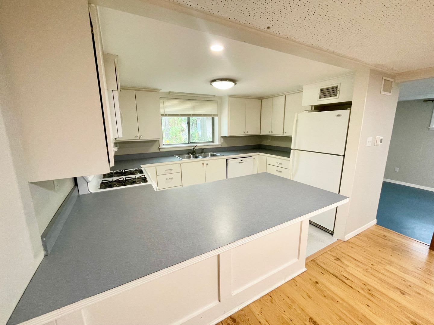 Adorable 1 Bedroom Home in Historic Belhaven! – photo 4