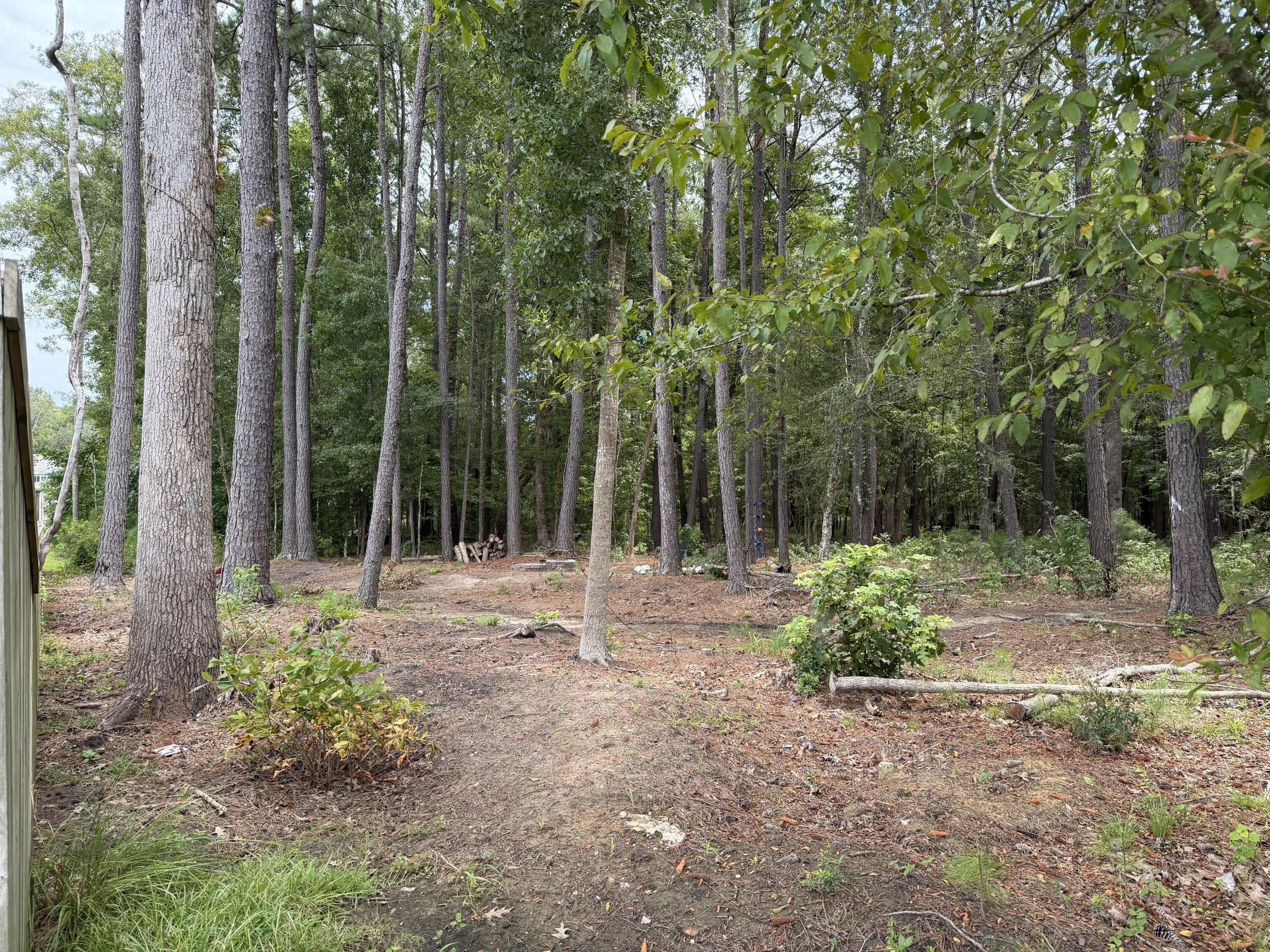 381 Spruce Ivy Street – photo 3