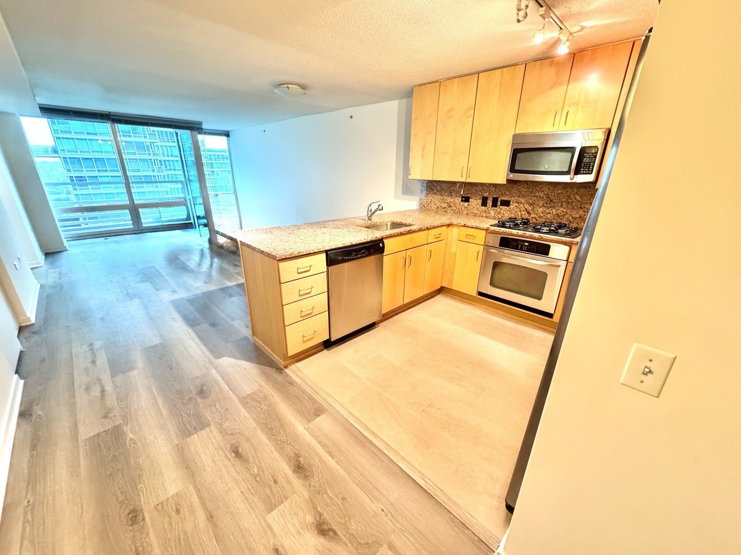 9725 WOODS Drive – photo 3