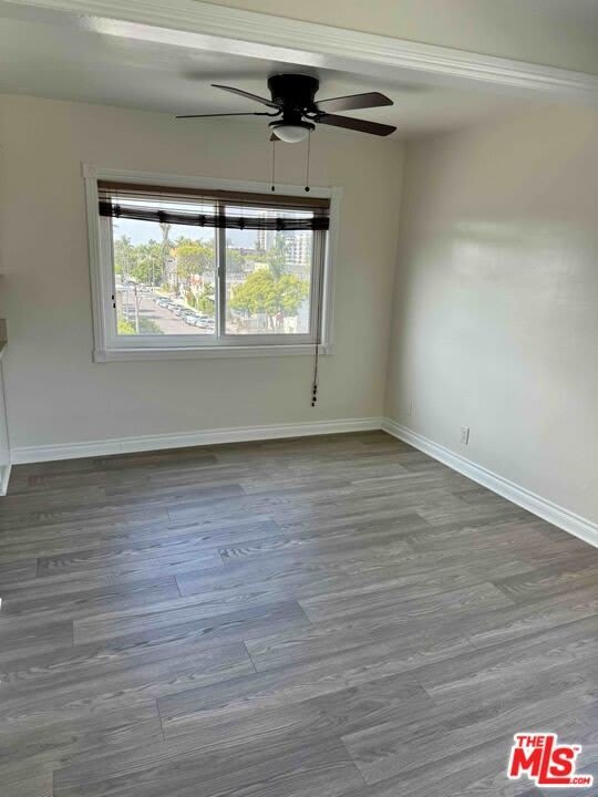335 Cedar Ave – photo 3