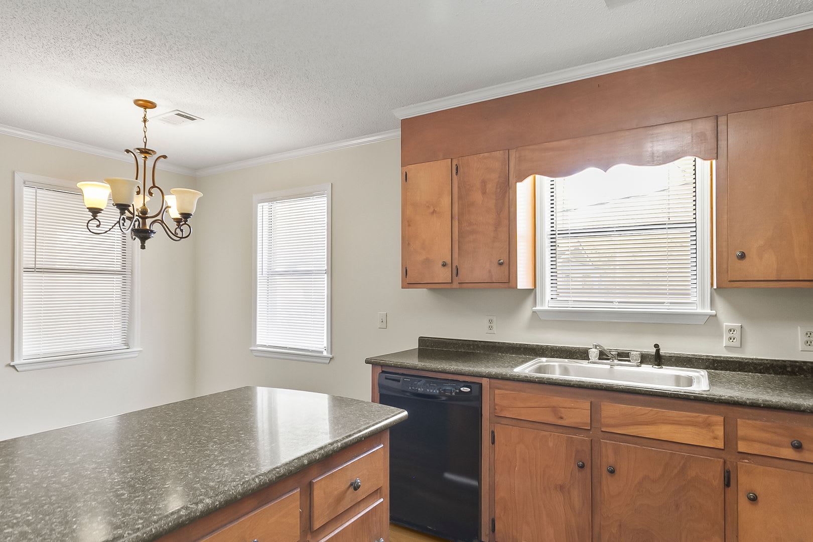 12378 Patton Place Spur Unit A(Coker Area) – photo 5
