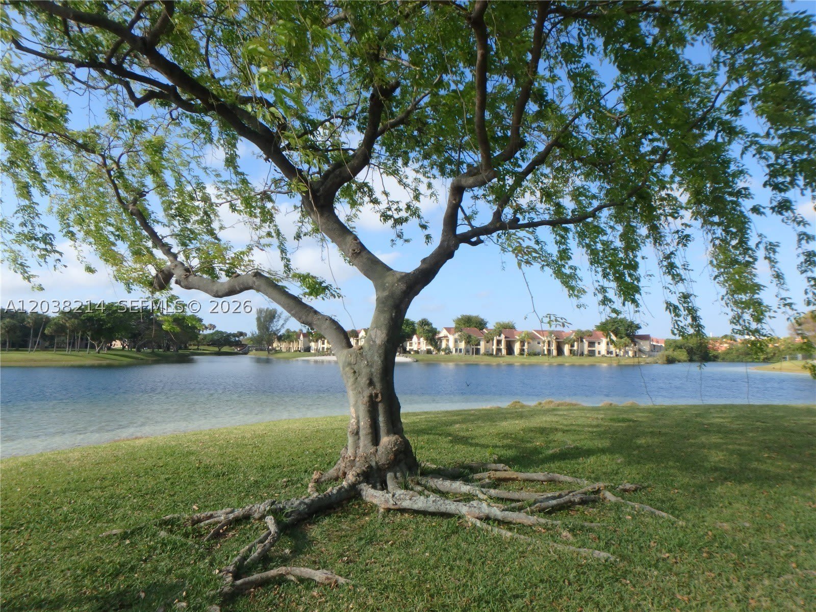 9727 Hammocks Blvd – photo 4