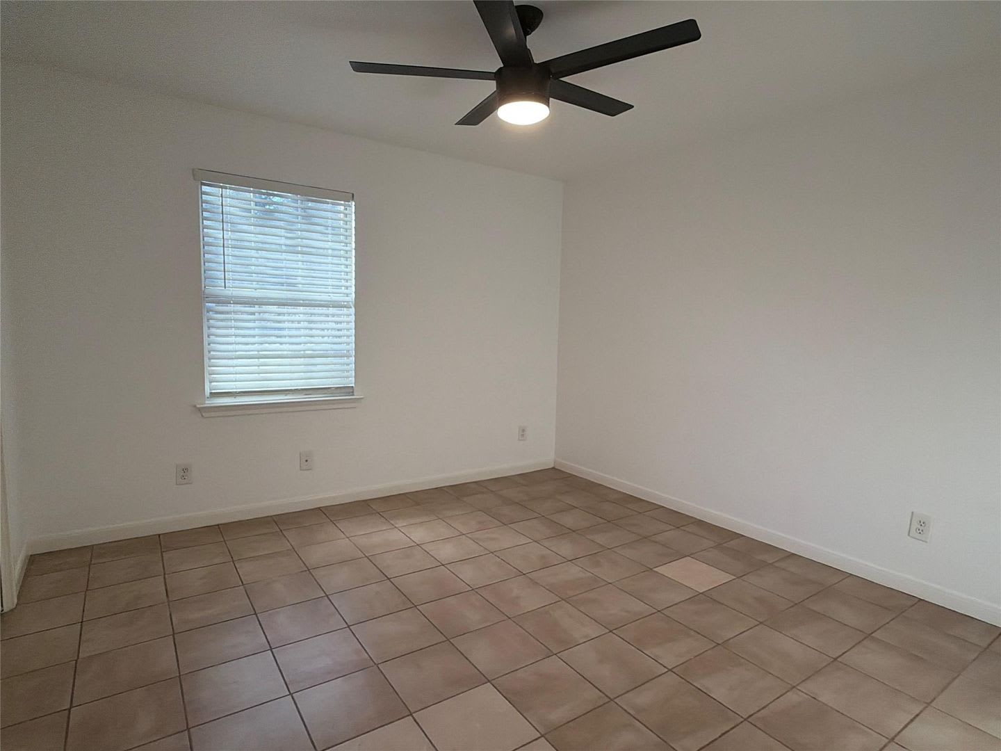 3 Bedroom House With Large Yard Available Now – photo 4