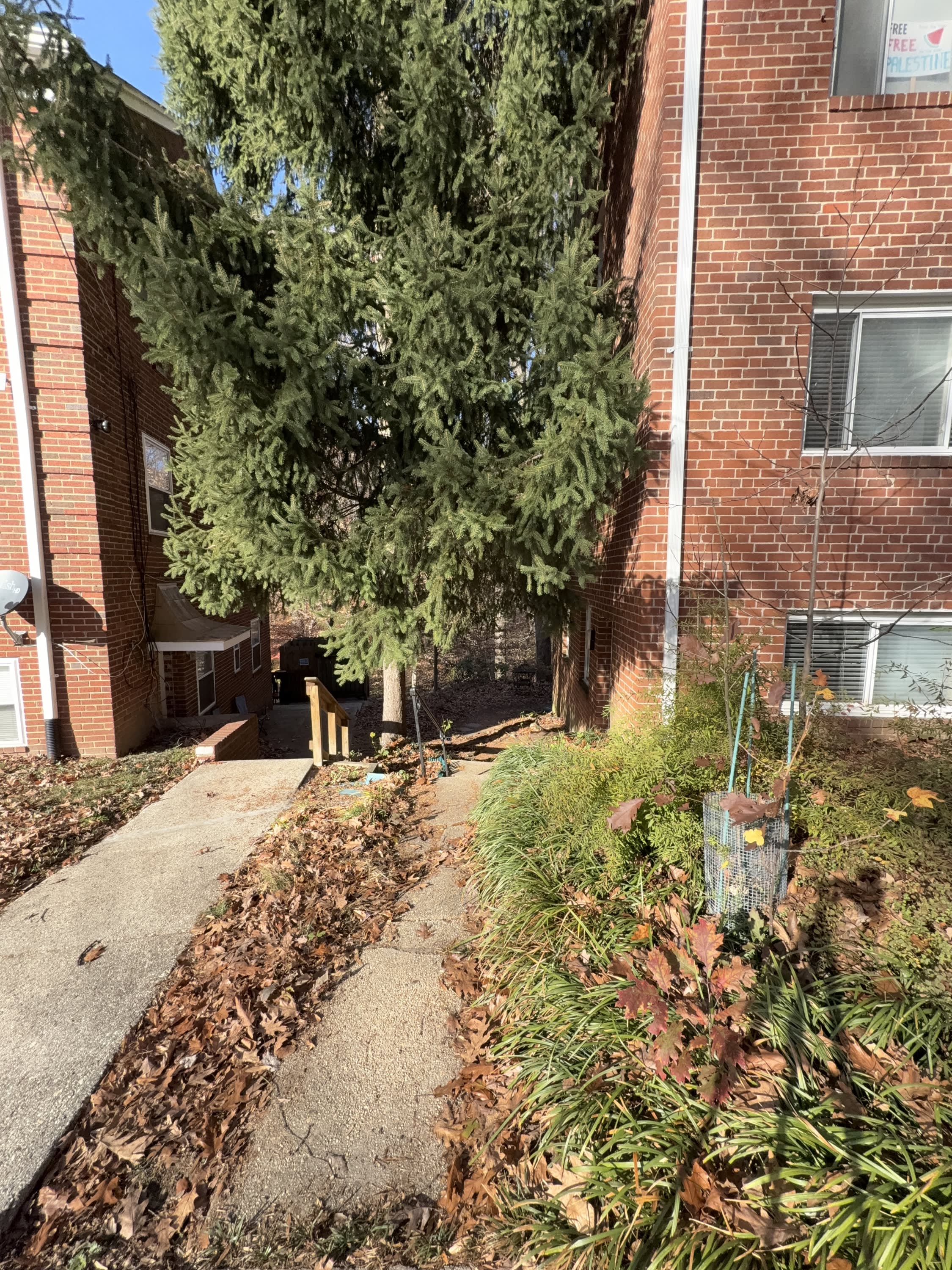8316 Roanoke Avenue – photo 2