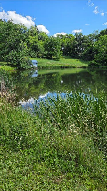3166 Mountainview Drive – photo 2