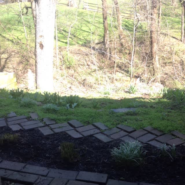 5588 Talbot Ct – photo 3